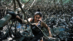 Entre el fango del manglar, mujeres en Nicaragua extraen moluscos para vivir