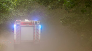 Evakuierung zweier Ortschaften wegen großen Waldbrands in Brandenburg aufgehoben