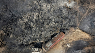 Los países de la cuenca mediterránea combaten los incendios y el calor