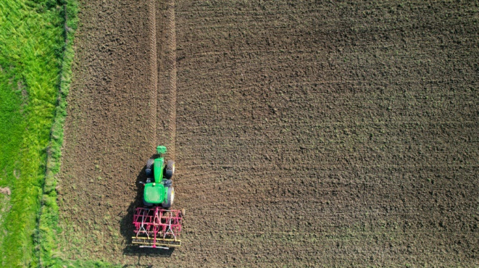 Union fordert von Regierung Entlastungen für die Landwirtschaft 