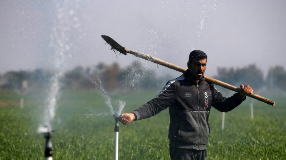 Dans un Irak asséché, l'irrigation moderne pour sauver l'agriculture