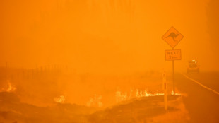 Los incendios del "verano negro" australiano afectaron la capa de ozono, dice estudio