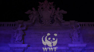 Présidentielle: le WWF veut soumettre l'action publique à un "passe climatique"
