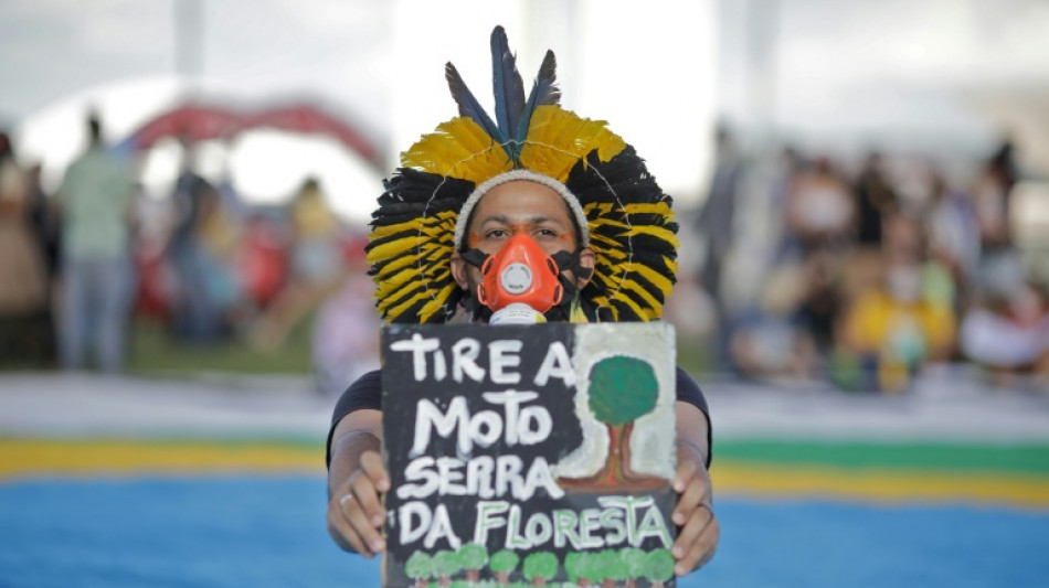 Tierras indígenas de Brasil actúan como barreras contra deforestación, según informe