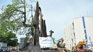 Una fuerte tormenta destroza un árbol emblemático de Sierra Leona