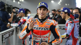 Martin grabs Qatar pole with Marquez also on front row