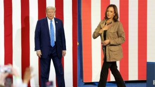 Harris and Trump push for every vote with just 14 days to go