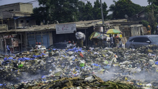 Kinshasa envahie par les déchets
