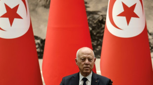 Tunisian president replaces prime minister