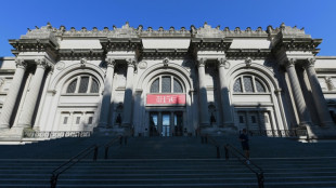 New York's Met Museum to probe possibly looted art