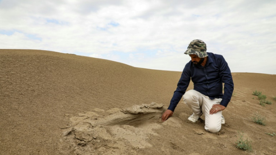 Iraq's ancient treasures sand-blasted by climate change