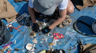 How plastic pollution poses challenge for Canada marine conservation