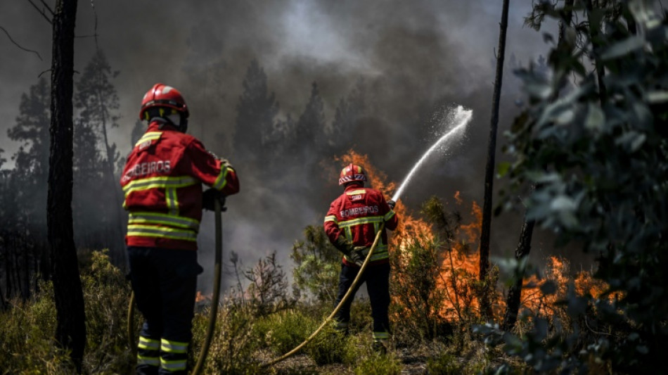 Waldbrand im Zentrum Portugals zerstört mehr als 7000 Hektar Land