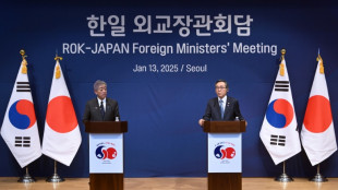 Japan FM in South Korea for talks before Trump takes office