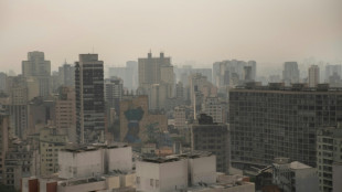 Smoke from Brazil fires clouds major cities, neighboring countries