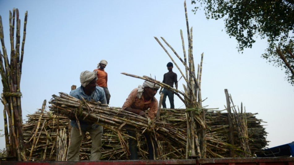 Indien deckelt seine Zuckerexporte