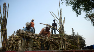 Indien deckelt seine Zuckerexporte