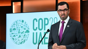 Climate 'loss and damage' fund tops UAE talks ahead of COP28