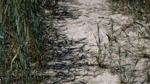 Frankreich bereitet sich auf früheste Hitzewelle vor 