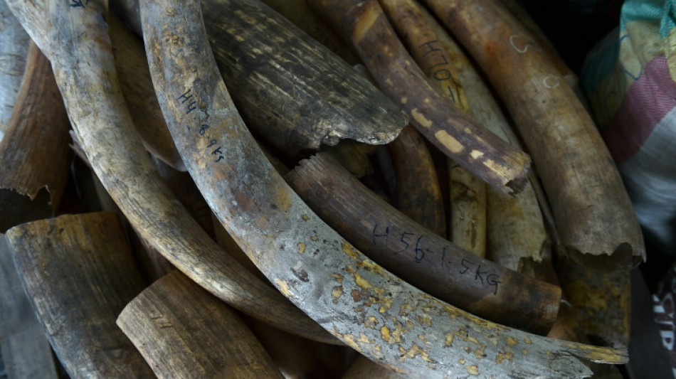 Ouganda: un trafiquant d'ivoire condamné à la prison à vie 