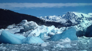 Gli oceani non sono mai stati così caldi, nel 2024 nuovo record