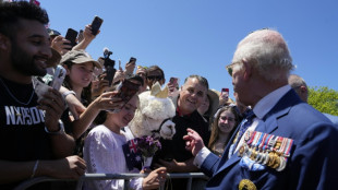 König Charles III. in Australien von Alpaka mit Krone angeniest