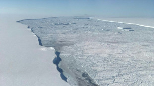 Deshielo de mayor placa antártica subiría el nivel del mar decenas de metros, dicen científicos