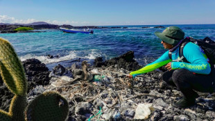 Coquillages et anémones colonisent le "continent de plastique" du Pacifique, selon une étude