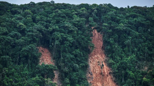 Climate change, rampant urbanization fuel Brazil storm disasters