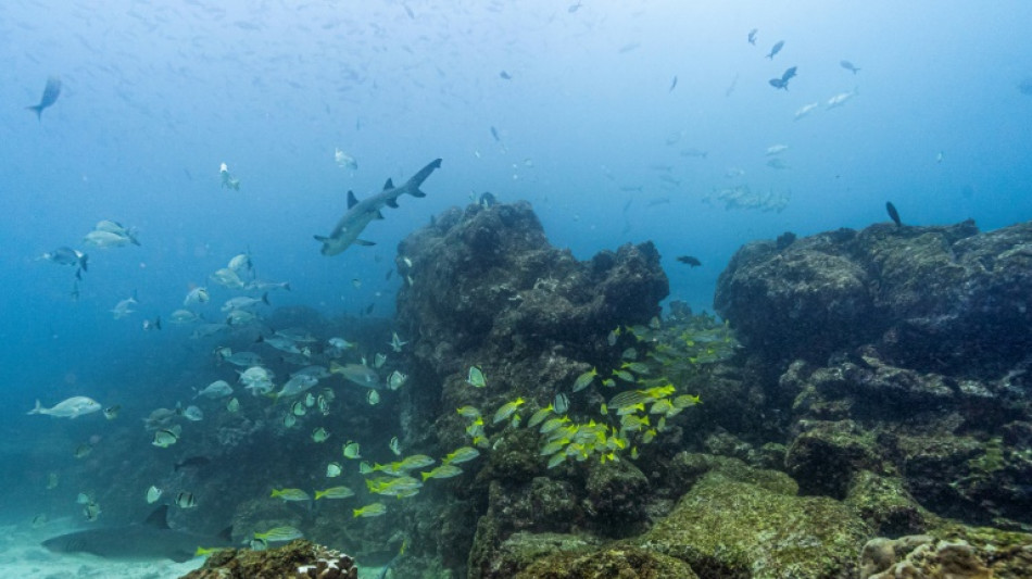 Expertos analizarán en Costa Rica el diagnóstico de salud de los océanos