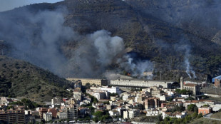 Controlado el incendio en la frontera de España con Francia 