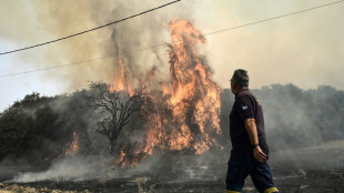 Brüssel: Feuer im Nordosten Griechenlands größter Waldbrand überhaupt in der EU
