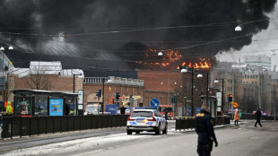 Un desaparecido por un incendio en el mayor parque de atracciones de Suecia