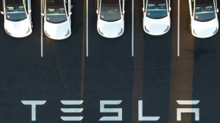 Racisme et discriminations: l'envers du décor de l'usine californienne de Tesla