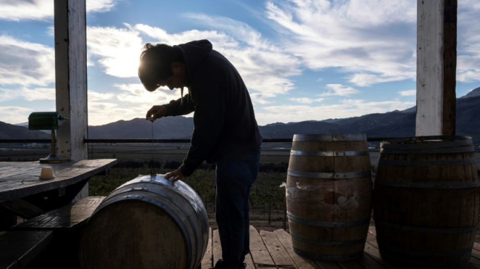 Tourist influx raises fears for Mexico's wine heartland