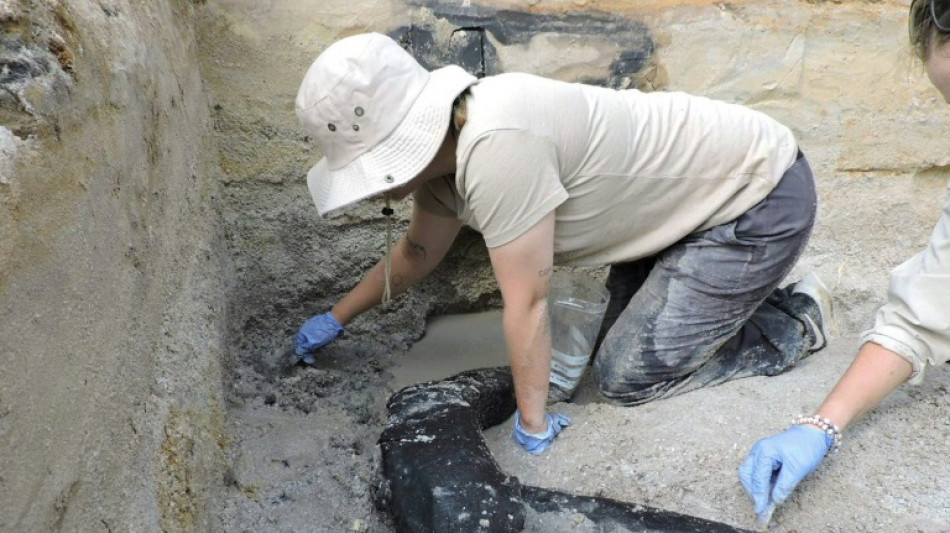 World's oldest wooden structure discovered in Zambia