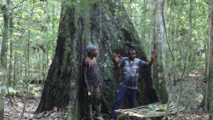 Gabonese village fights to save forest from logging