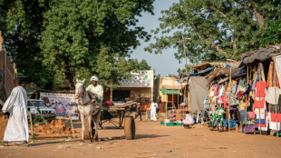 Truckers strike accusing Wagner of driver death in Central African Republic