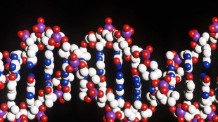 Decodificato il Dna-Cenerentola, apre a nuove terapie anticancro