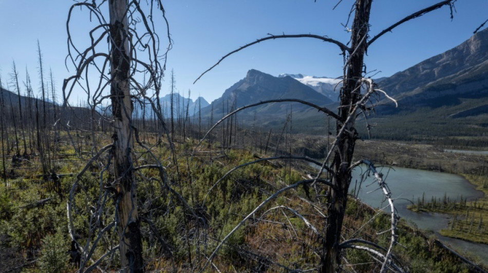 Kanadas Provinz Alberta erklärt wegen über hundert Waldbränden Ausnahmezustand