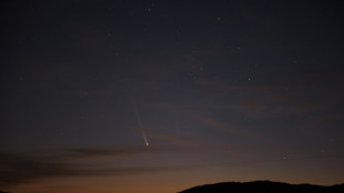 El cometa Tsuchinshan-Atlas será visible desde el hemisferio norte durante varias noches