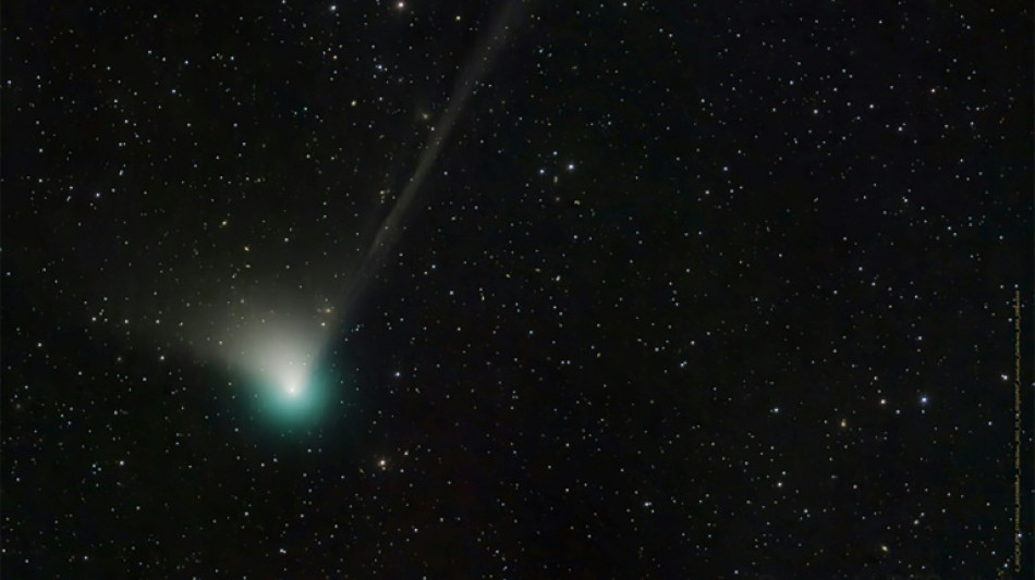 Une comète en visite dans le ciel pour la première fois depuis 50.000 ans 