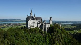 21-Jährige nach Angriff von Mann nahe Schloss Neuschwanstein gestorben