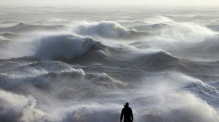 La tormenta Henk causa la muerte de un automovilista en Reino Unido, en alerta por posibles inundaciones