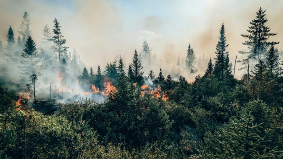 Cambio climático crea condiciones que alimentaron ola de incendios en Canadá, según estudio