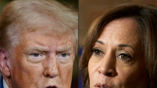 Trump tours storm damage, Harris woos moderates as US vote looms