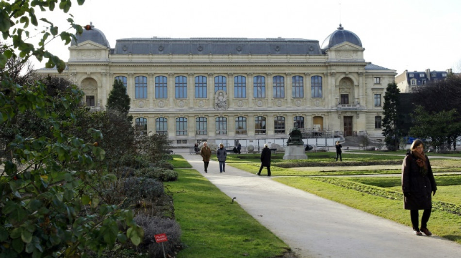 Le Musée de l'Homme explore l'odyssée humaine des migrations