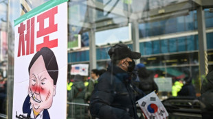 South Korea's political crisis: what could happen next?