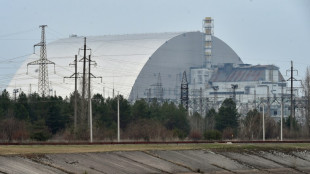 Power restored at Ukraine's Chernobyl: IAEA