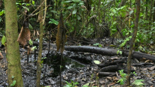 "Basta": El clamor de indígenas ante la explotación petrolera en la Amazonía ecuatoriana